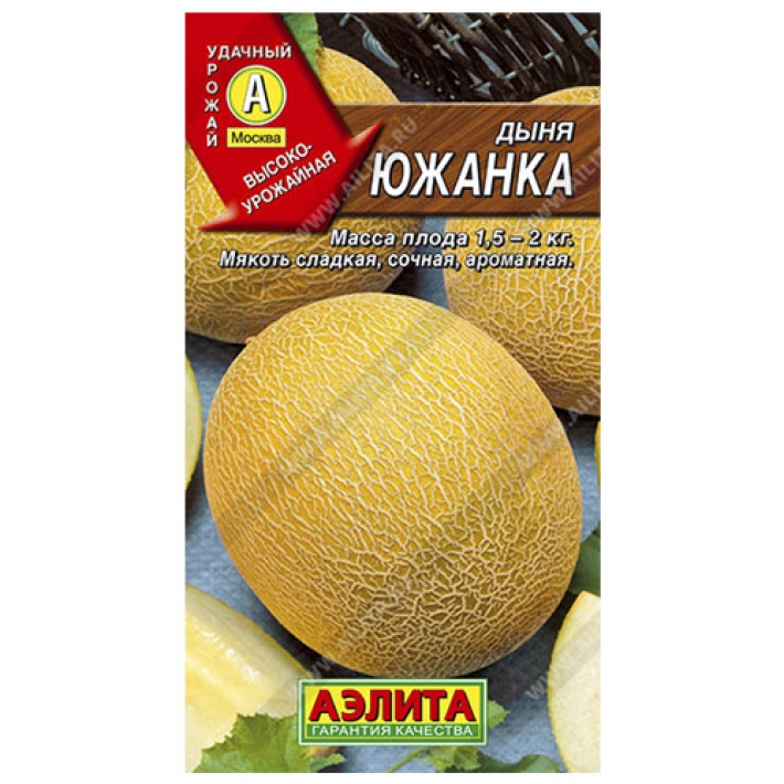 Дыня Южанка