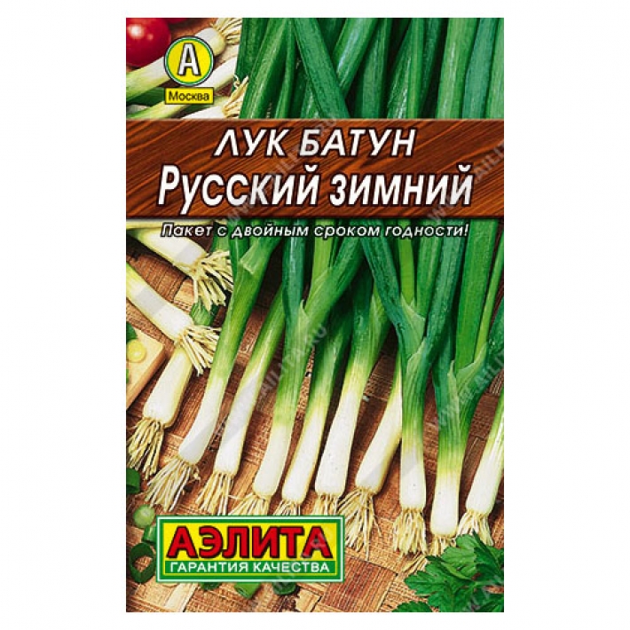 Лук батун Русский зимний