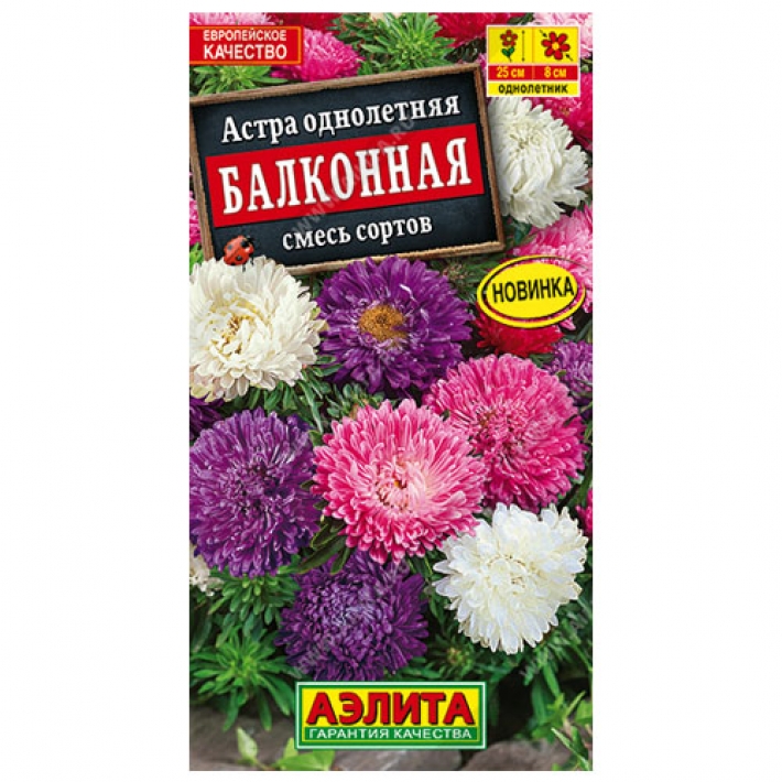 Астра Балконная, смесь окрасок