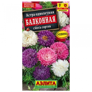 Астра Балконная, смесь окрасок