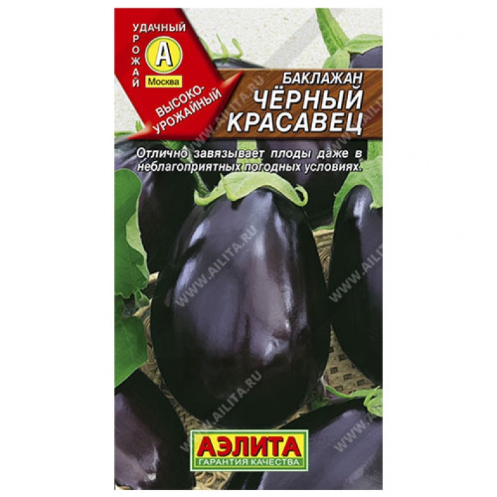 Баклажан Черный красавец
