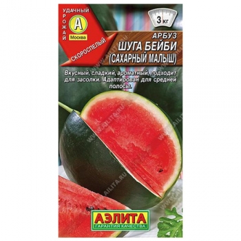 Арбуз Шуга Бейби (Сахарный малыш)