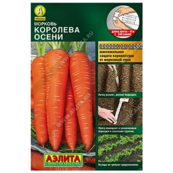 Морковь Королева осени