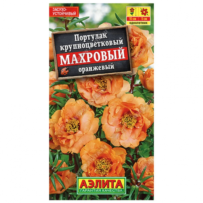 Портулак махровый оранжевый