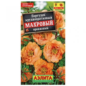Портулак махровый оранжевый