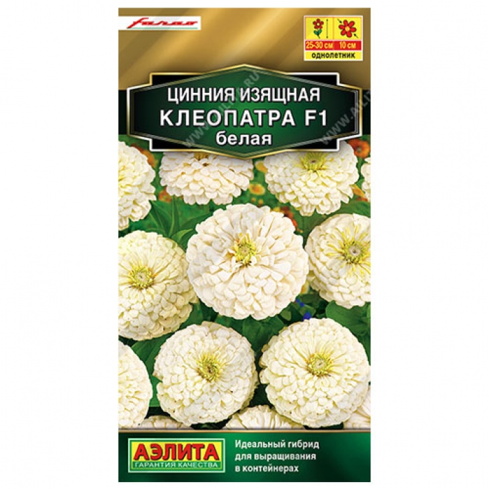 Цинния Клеопатра F1 белая