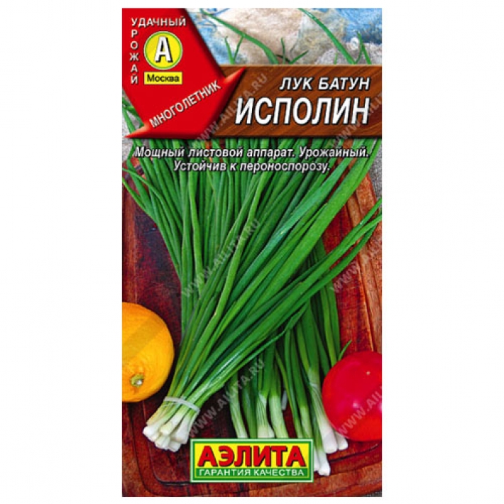 Лук батун Исполин
