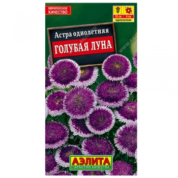 Астра Голубая Луна