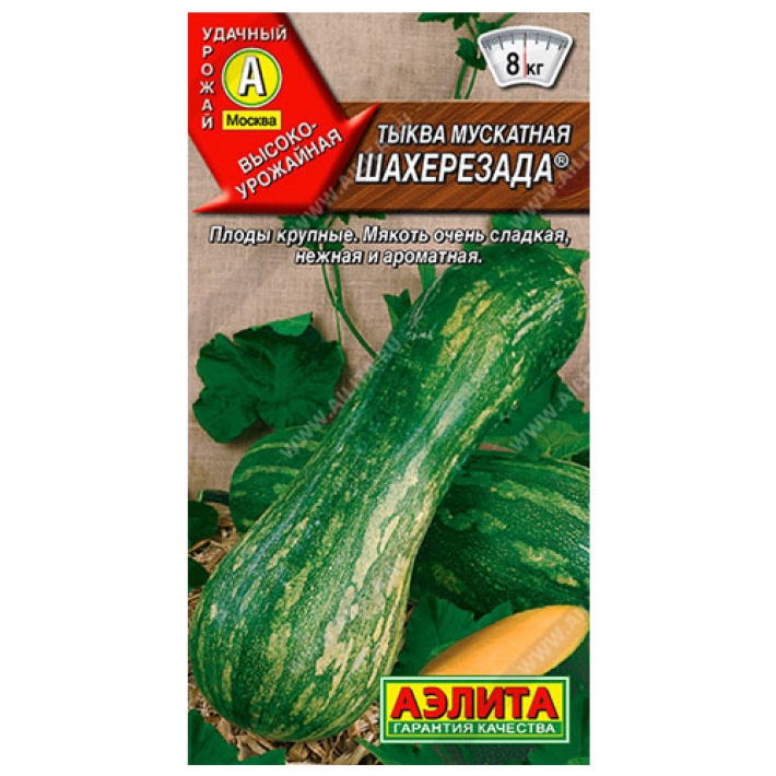 Тыква мускатная Шахерезада &reg;