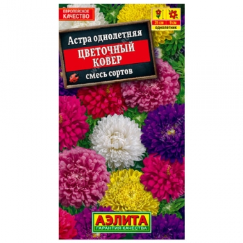 Астра Цветочный ковер, смесь сортов