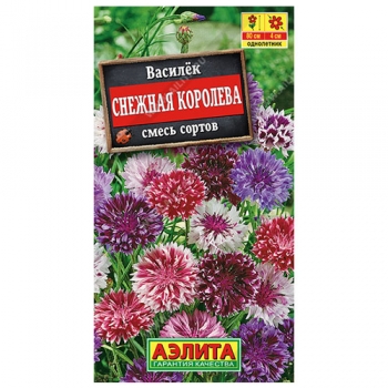 Василек Снежная королева, смесь сортов