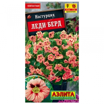 Настурция Леди берд