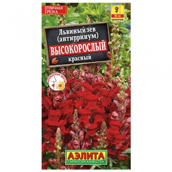 Львиный зев Высокорослый красный