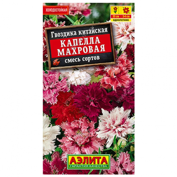 Гвоздика Капелла махровая китайская, смесь сортов