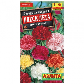 Гвоздика садовая Блеск лета, смесь сортов