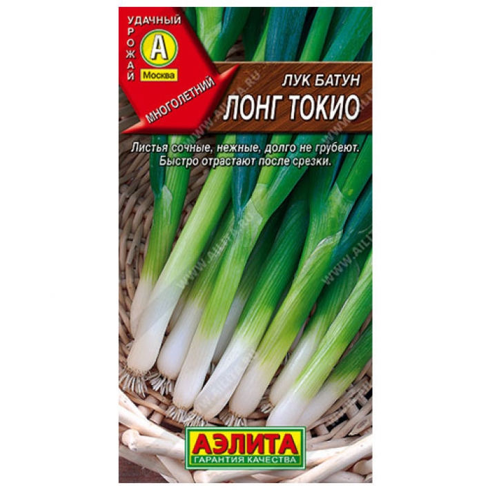 Лук батун Лонг токио