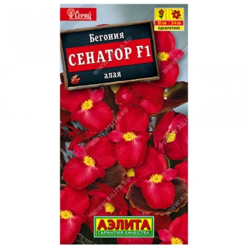 Бегония вечноцветущая Сенатор алая F1