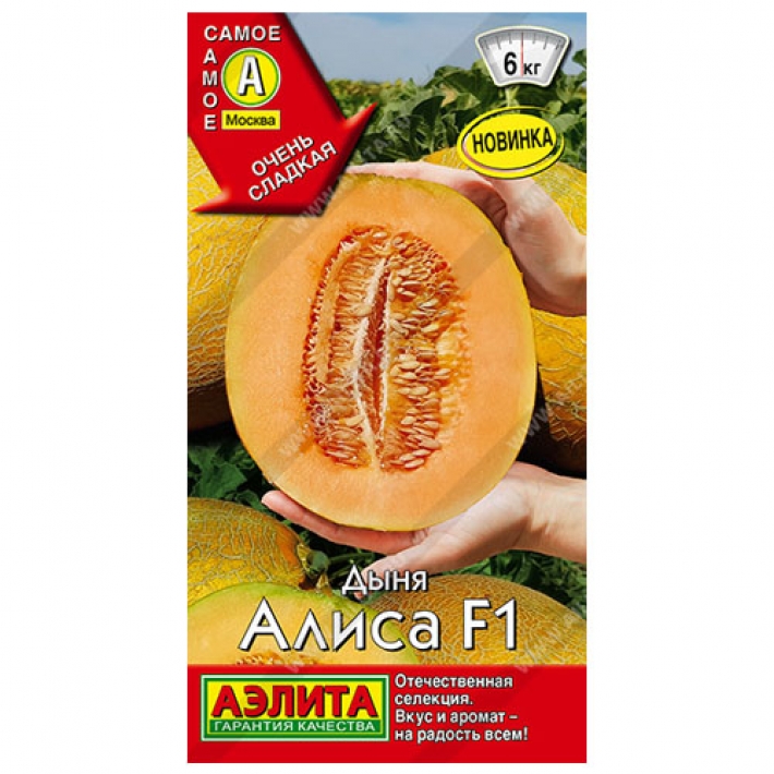 Дыня Алиса F1