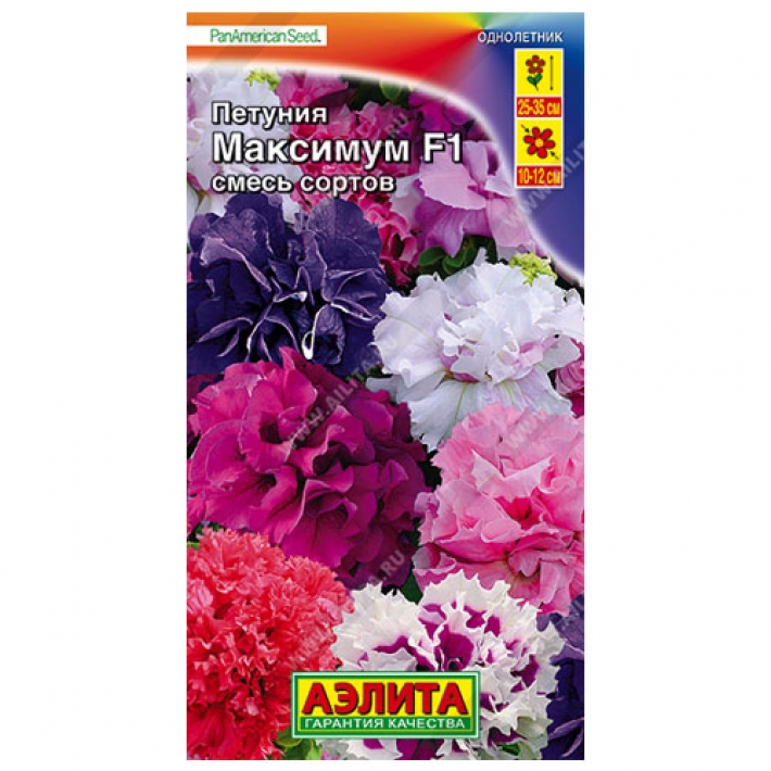 Петуния Максимум F1 крупноцветковая махровая, смесь сортов