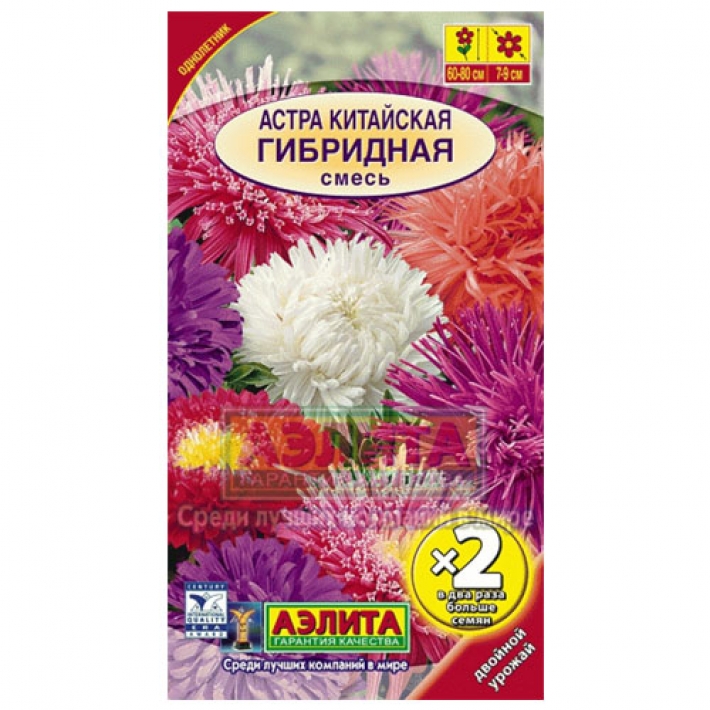 Астра китайская Гибридная, смесь окрасок