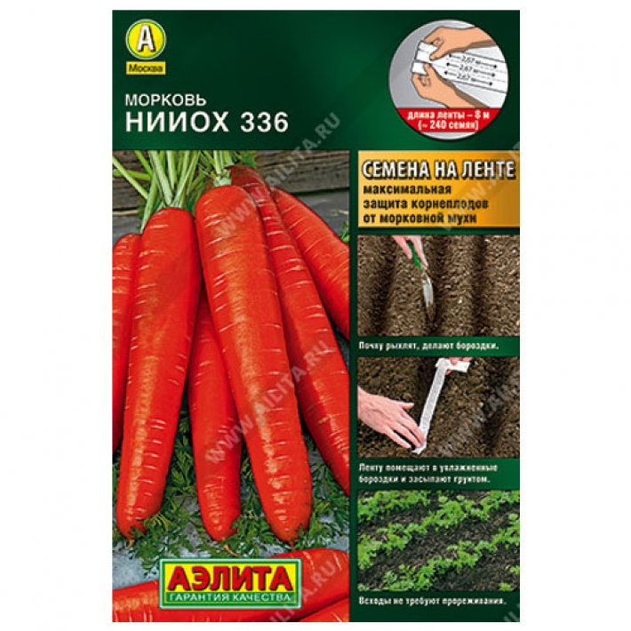 Морковь НИИОХ 336
