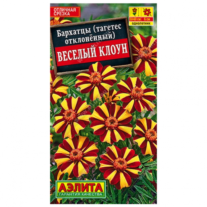 Бархатцы Веcелый клоун отклоненные