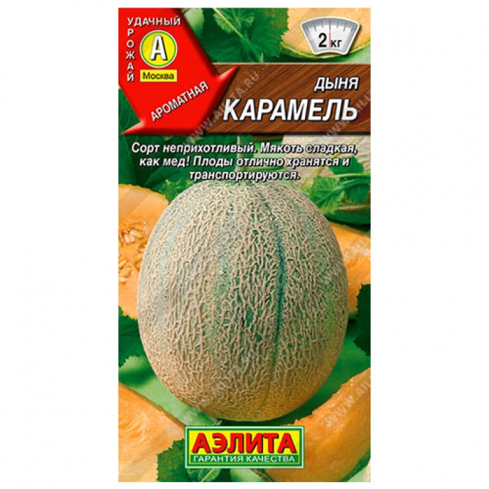 Дыня Карамель