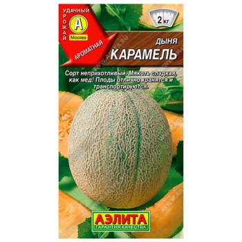 Дыня Карамель