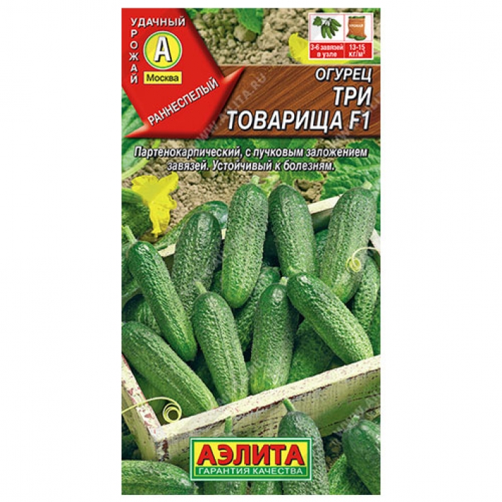 Огурец Три товарища F1
