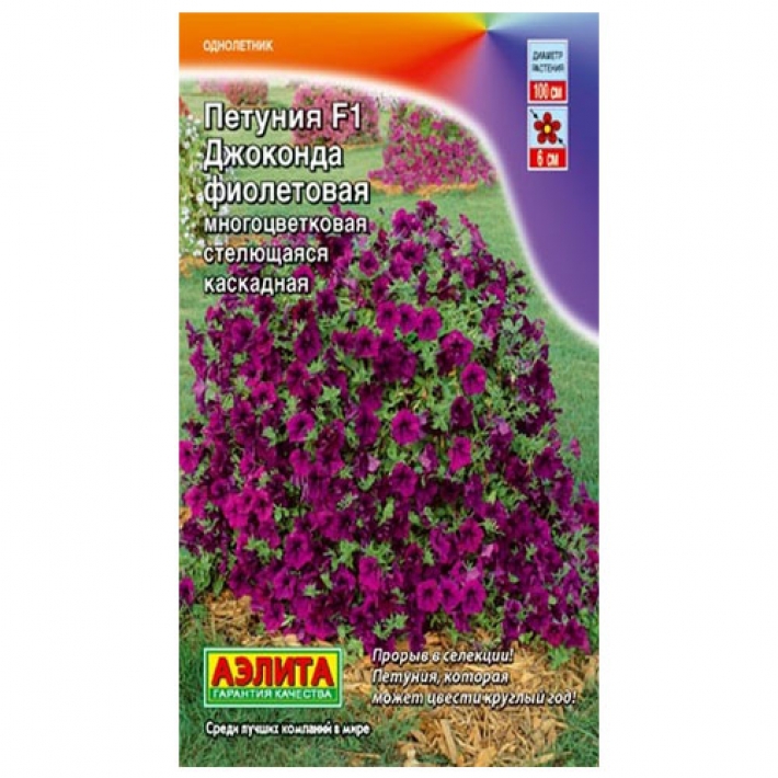 Петуния Джоконда F1 фиолетовая