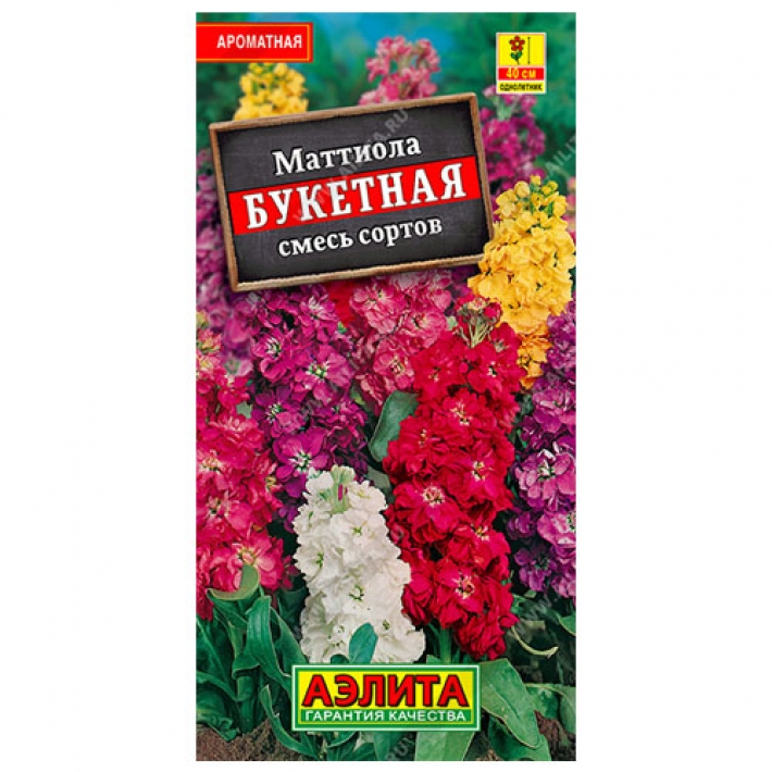 Маттиола Букетная, смесь сортов